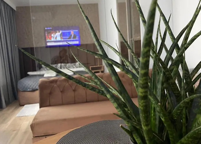 Apartment Bulvary Nad Odra *